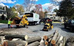 Best Hazardous Tree Removal  in Madera Ranchos, CA